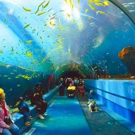 Espacioso 140 M2 Y Calidad A 250 Metros Playa Y Puerto Deportivo 5hab 2 Banos Vut2917as * 기욘